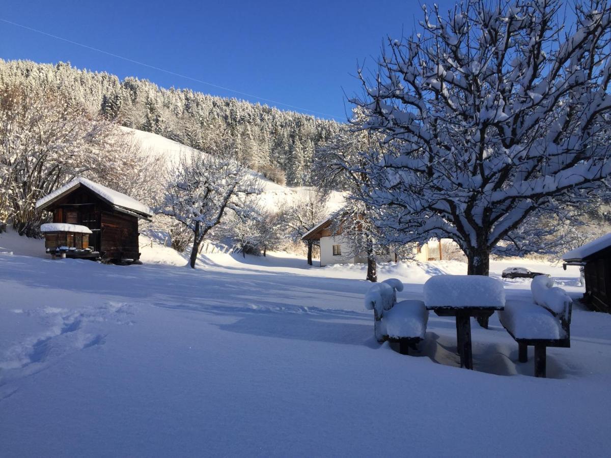 Bobbies Nest Villa Schladming Exterior photo